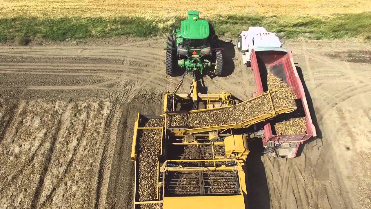 Idaho Potato Harvest WPI (aerial drone footage)