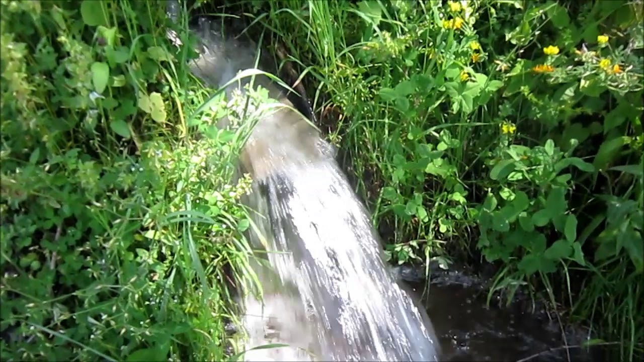 Արատեսյան գունապնակ