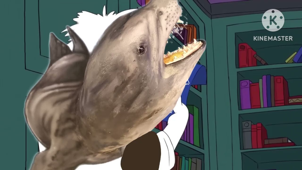 Super Planet Dolan Hickory Dickory Dock Pinnipeds Version