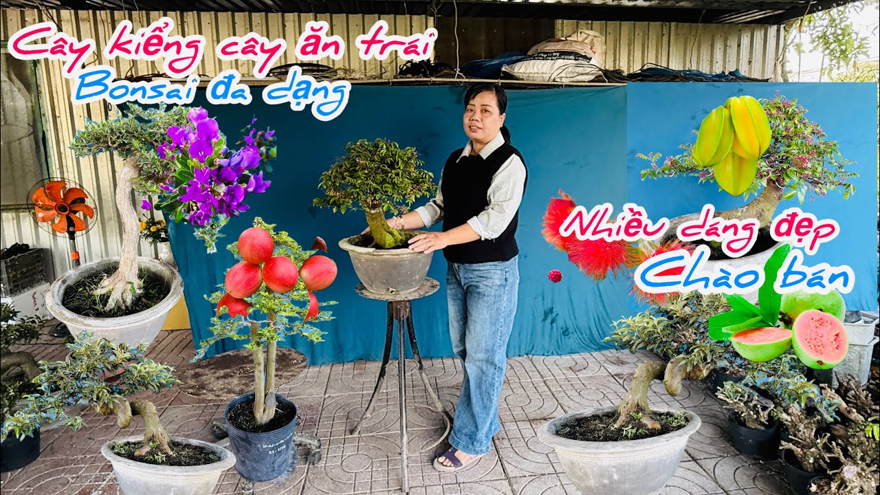 C&acirc;y kiểng c&acirc;y ăn tr&aacute;i Bonsai đa dạng ch&agrave;o b&aacute;n ..10/03😘📲 0917.962.524.Hồng-Nga