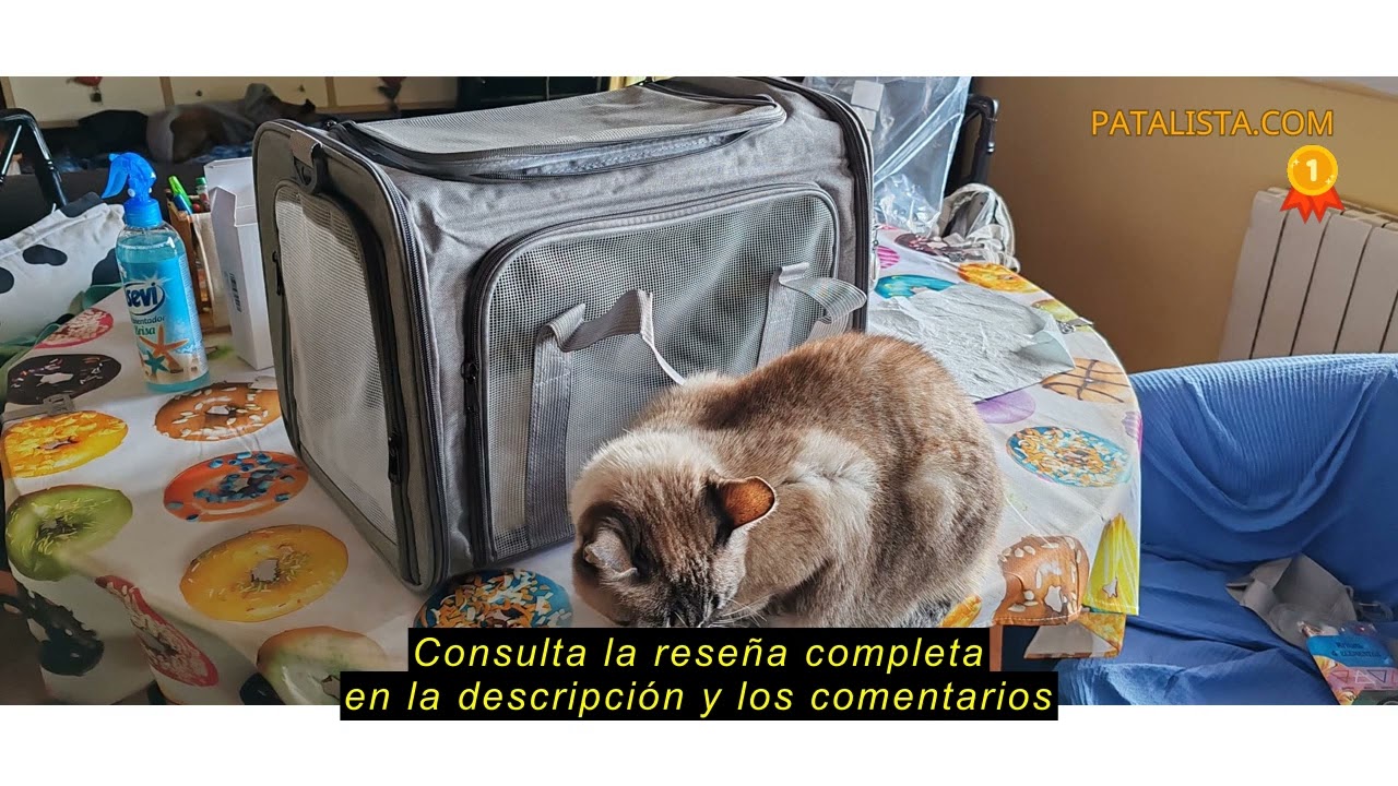 Reseña del AiQInu Bolsa de Transporte para Perro Gato, Plegable Mochila para Gatos con Correa de Hom