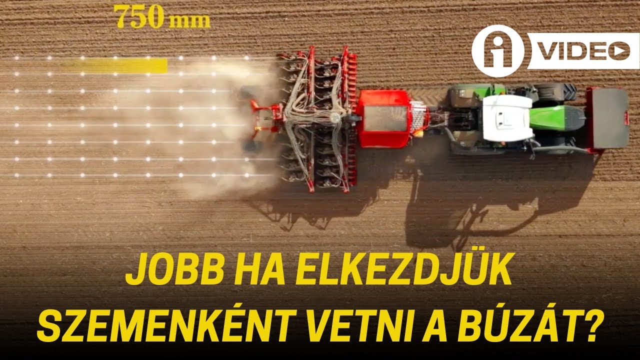Jobb ha elkezded szemenként vetni a búzát?