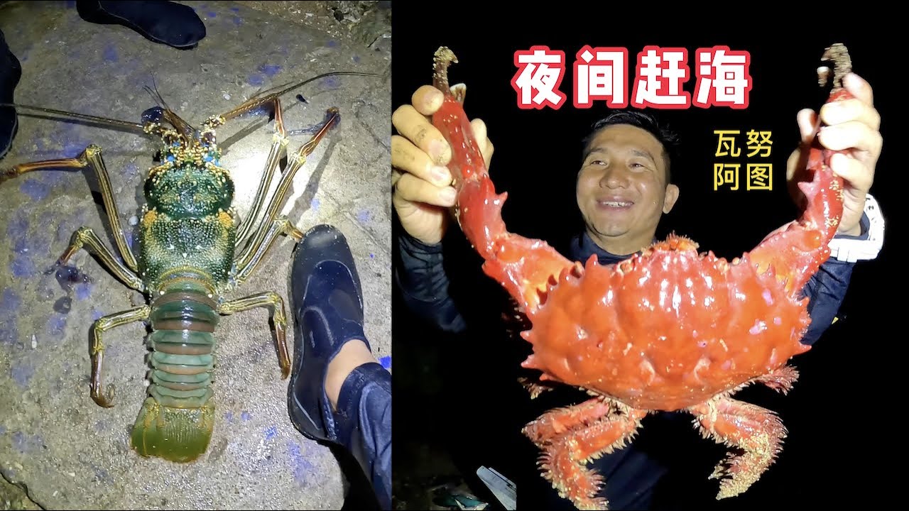 《瓦努阿图》第15集：今天跟着当地酋长赶海，让我抓到好多大螃蟹和大龙虾！#旅行 #旅行攻略 #环球旅行 #瓦努阿图 #赶海 #抓龙虾