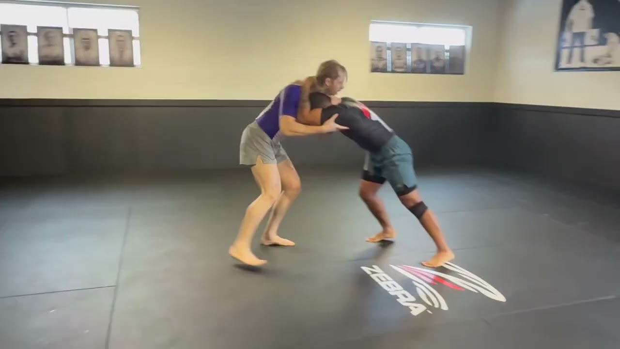 Two apes at takedown only sparring 