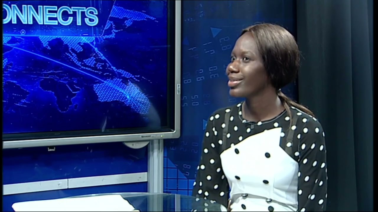 NAMIBIA CONNECTS | Future Africa Leadership Foundation - nbc