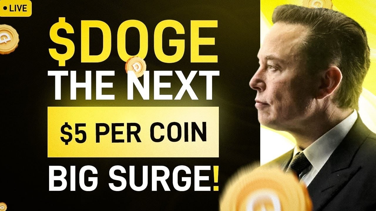 Elon Musk: on Dogecoin Crash & TSLA Stock Drop 🚀 DOGE Price Analysis