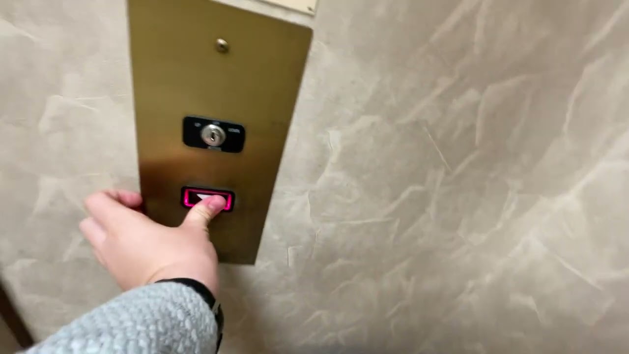 Dillards Great Northern Mall