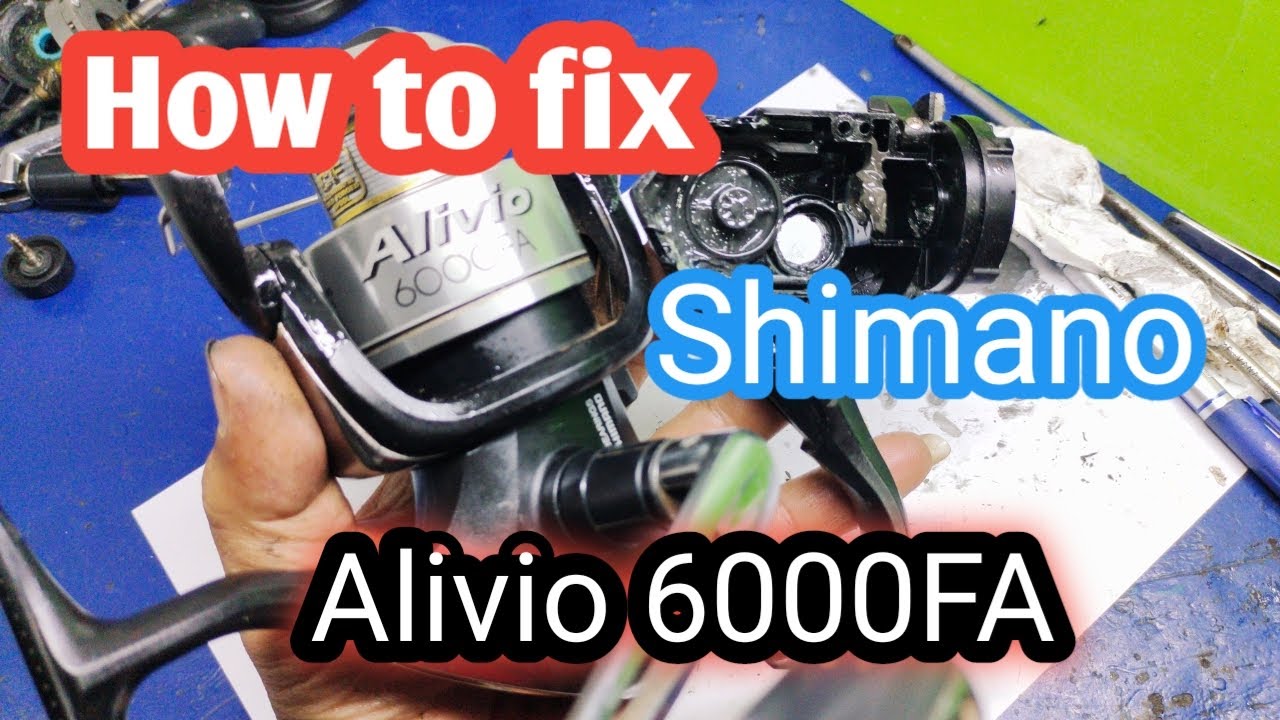 How to fix Shimano Alivio 6000 FA /Spinning Reel Shimano Alivio 6000 FA for Fishing