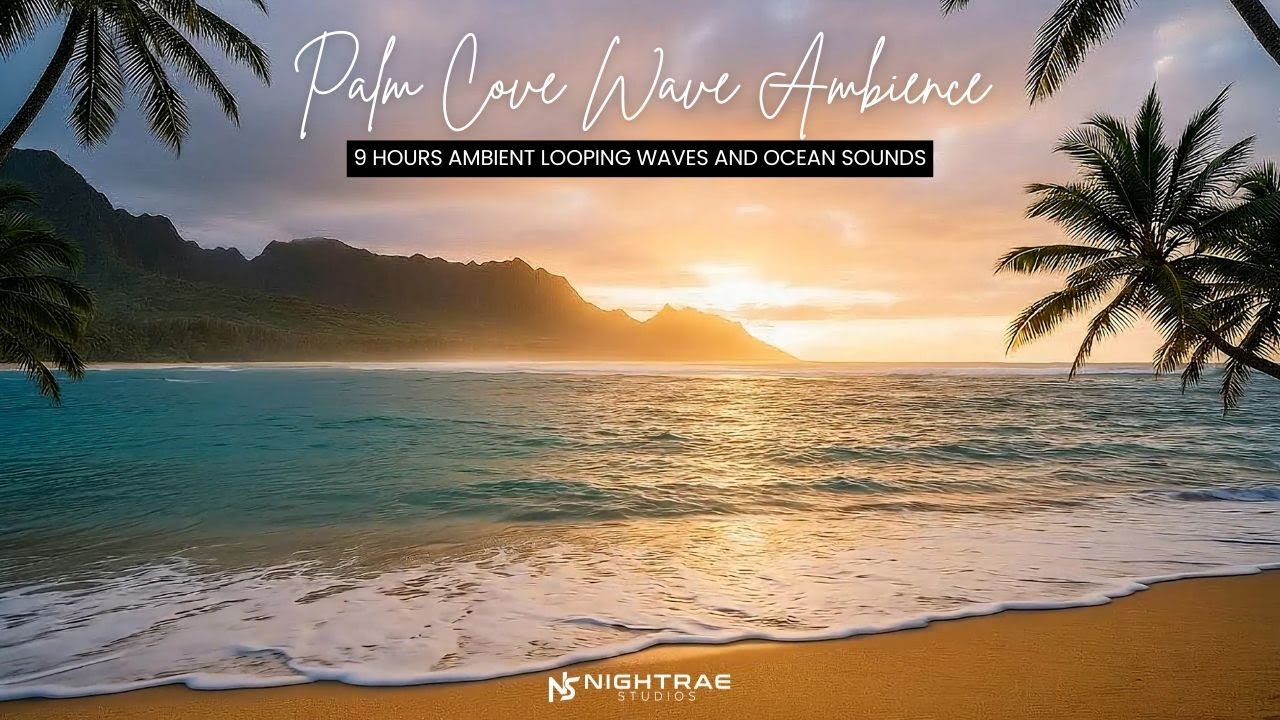 Palm Cove Wave Ambience — 9 Hours (No Music) | Relaxing Ocean Sounds for Sleep & Study
