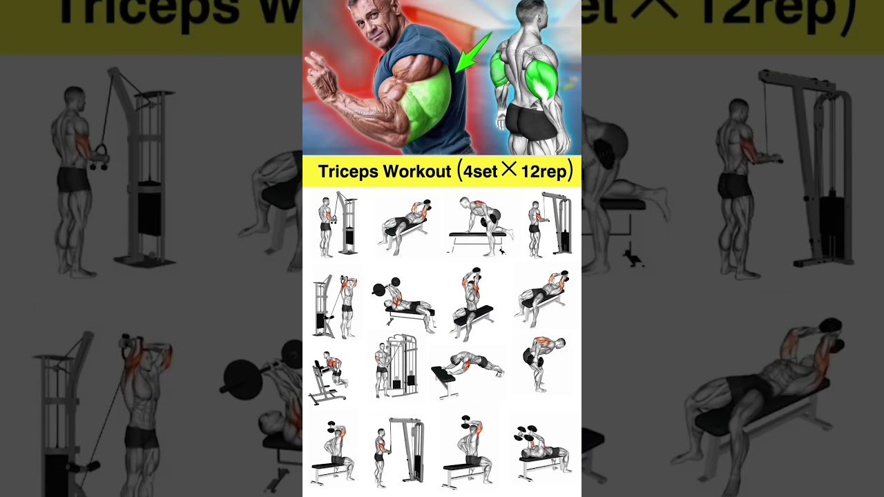 Day:53/60 Most Effective Triceps Workout