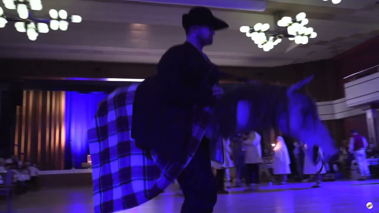 Pochovávání basy Vševalašský bál Vsetín 2025