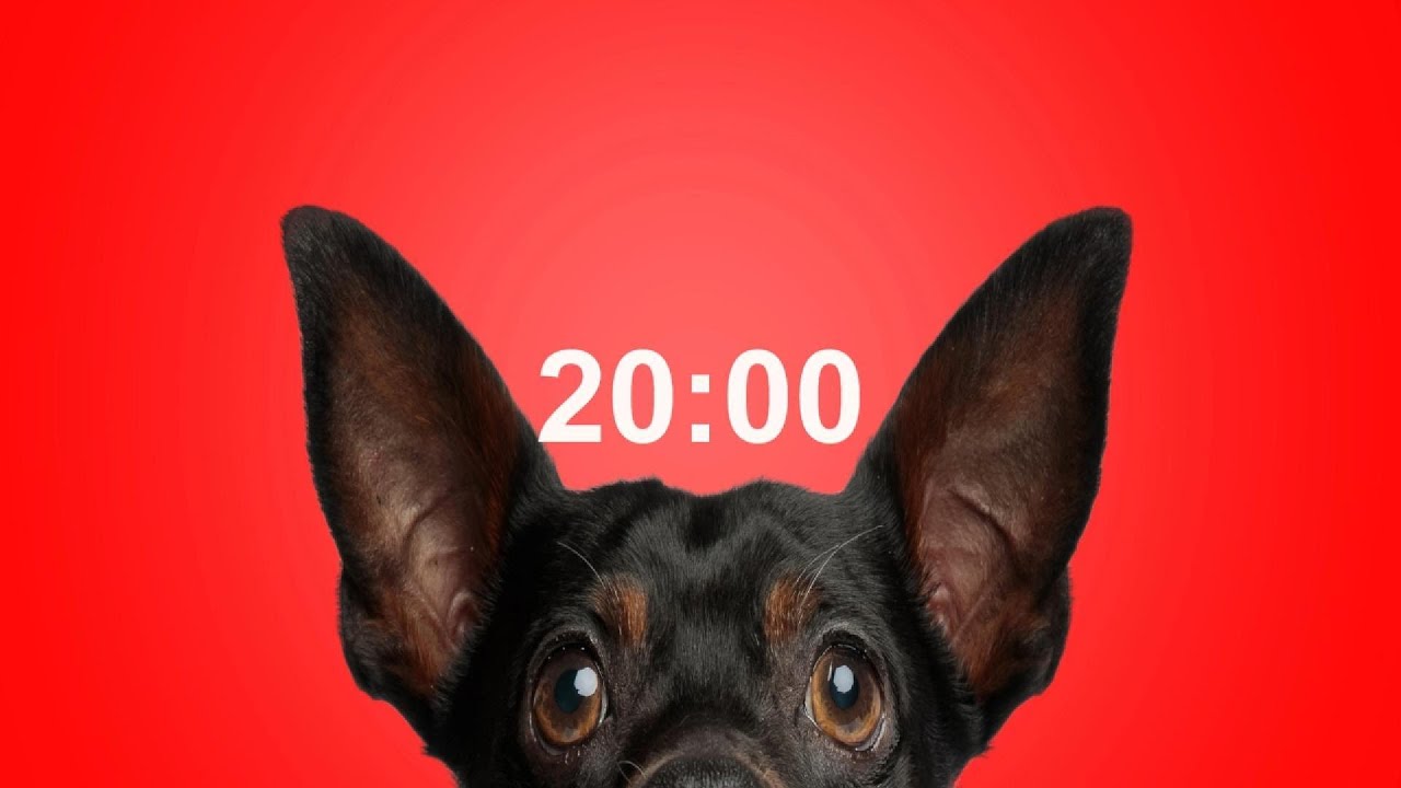 20 Minute Timer for School & Homework  Dog Bark Alarm Sound  Improve Focus & Productivity