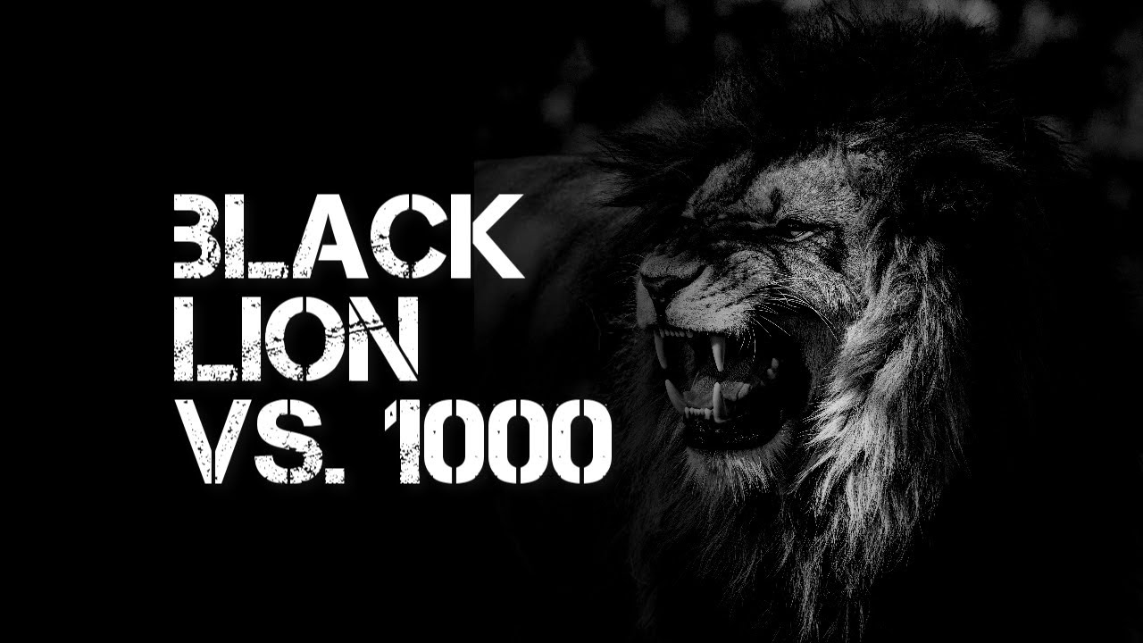 Playing the Black Lion against a 1000 player