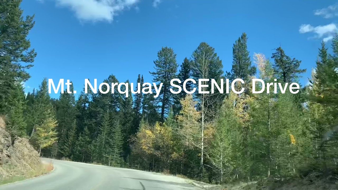 Mt Norquay Scenic Drive | Mt Norquay Lookout | Banff National Park