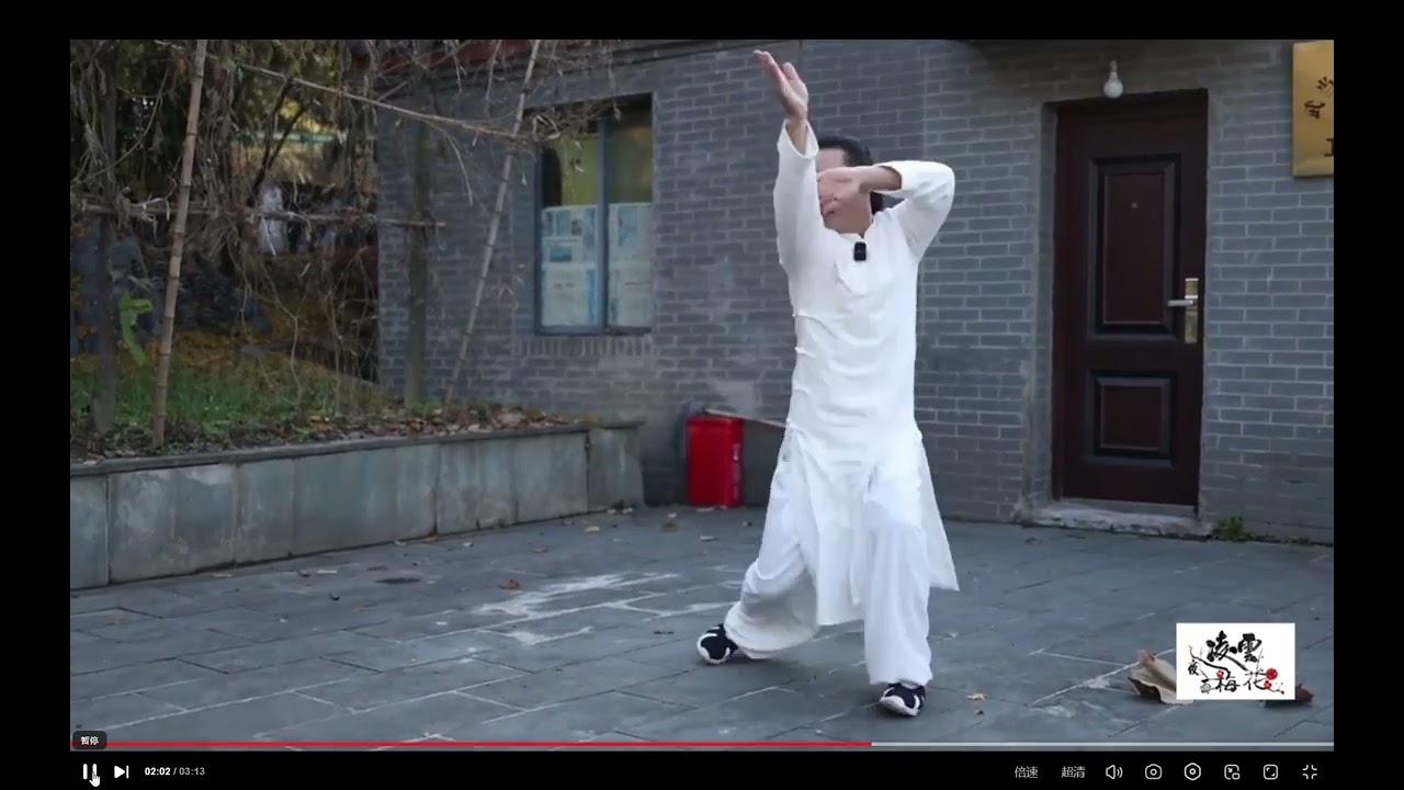 武当逍遥掌，Wudang Xiaoyao Fist.Ti&ecirc;u dao quyền V&otilde; đang. Китайское ушу, блаженный кулак