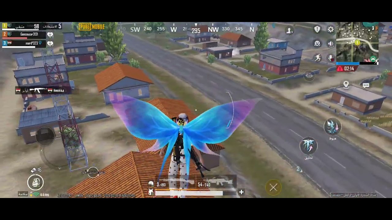 19 فبراير 2026