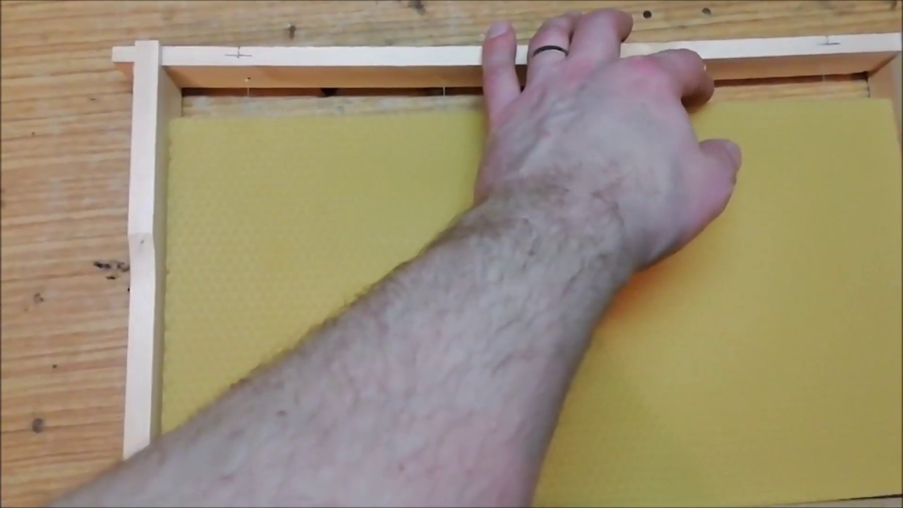 Zatavování voskové mezistěny do rámku