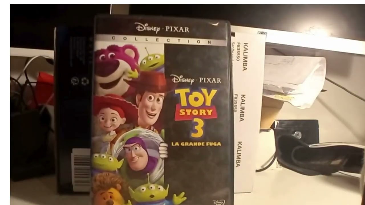 La mia collezione di DVD(Solo cartoni animati)