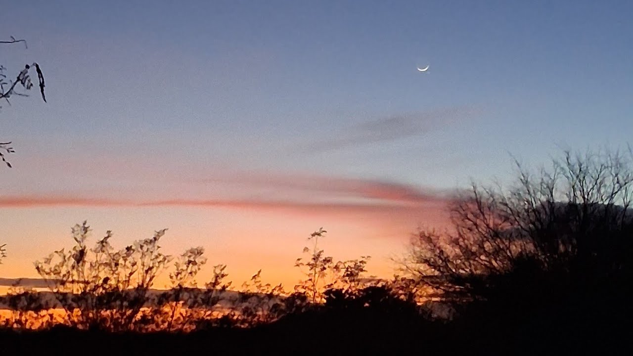 Fantasy Sunset, Live!