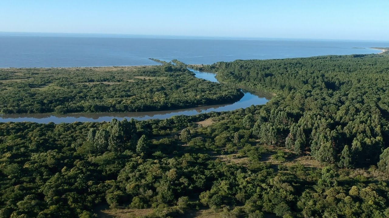 Embarcadero de Riachuelo el paraíso náutico de Uruguay
