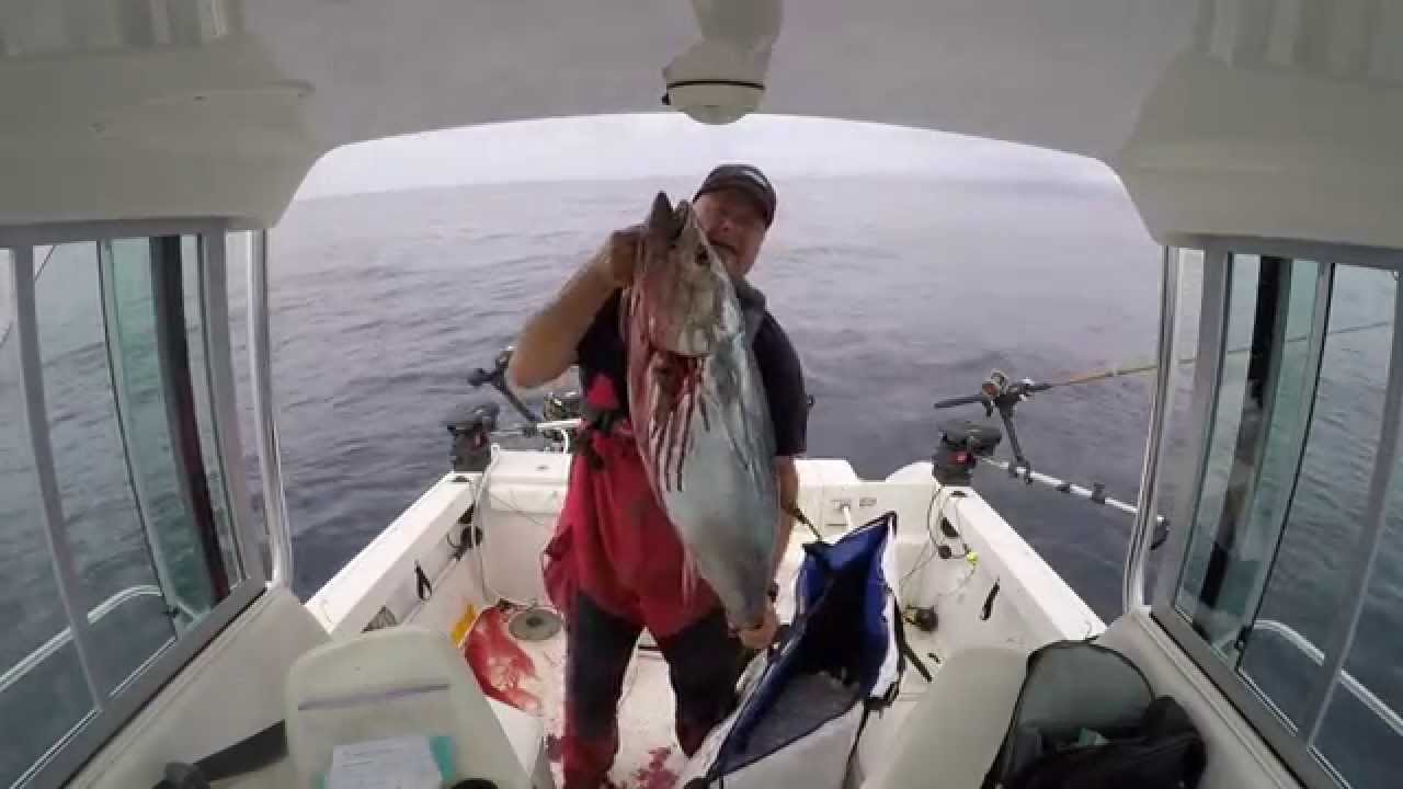 Bluefin Tuna Fishing, Monterey Bay, CA near Santa Cruz.   10/17/2015