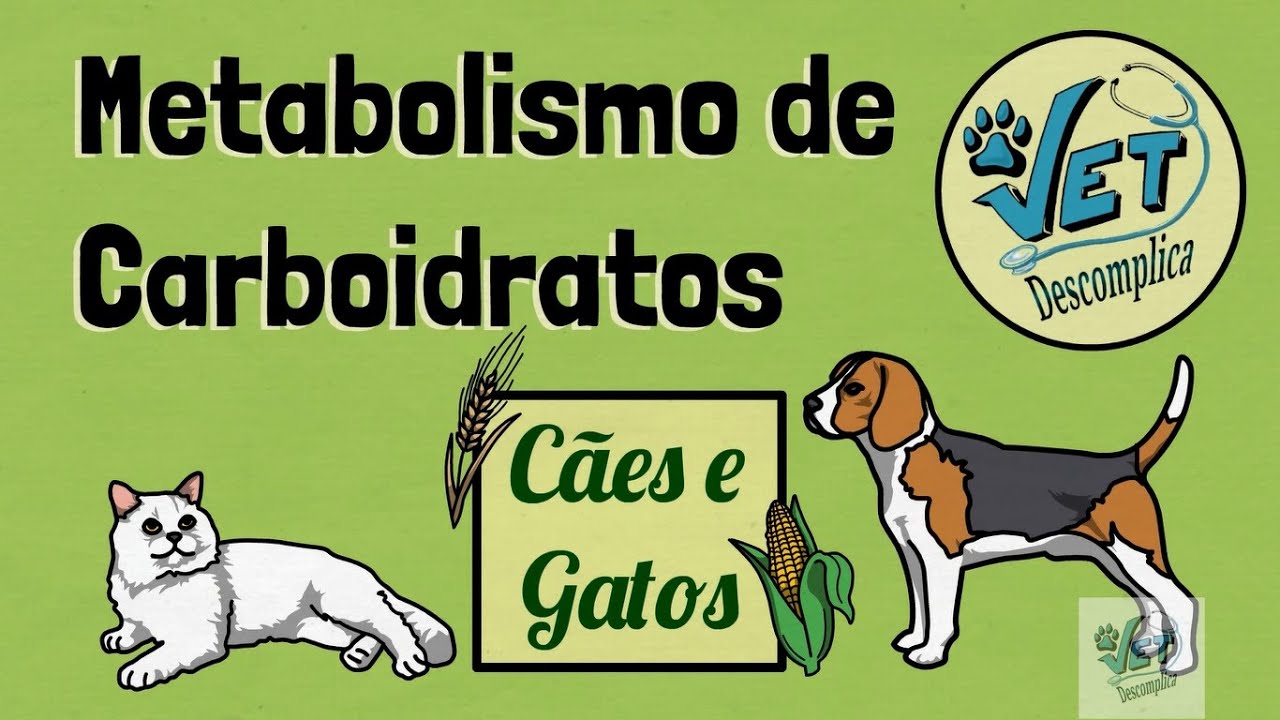 Metabolismo de Carboidratos em Cães e Gatos - NUTRIÇÃO VET