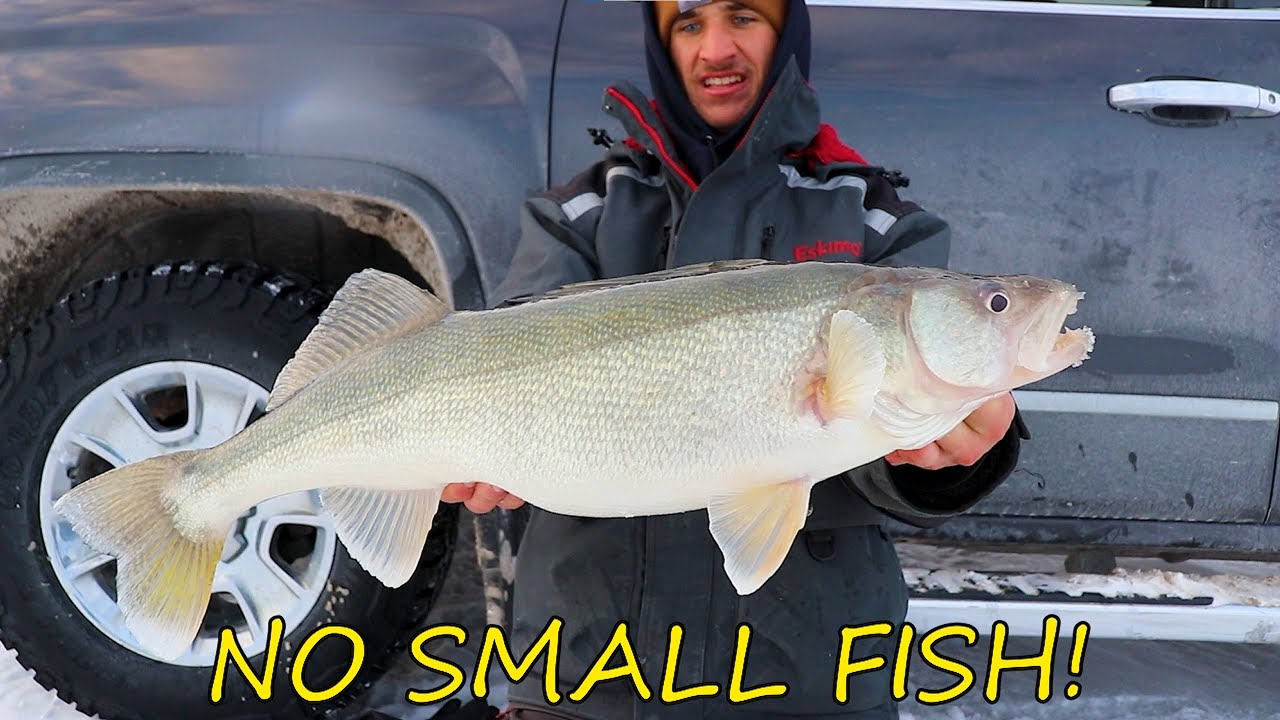 The Lake Winnipeg Dream (BIG GREENBACKS!!)