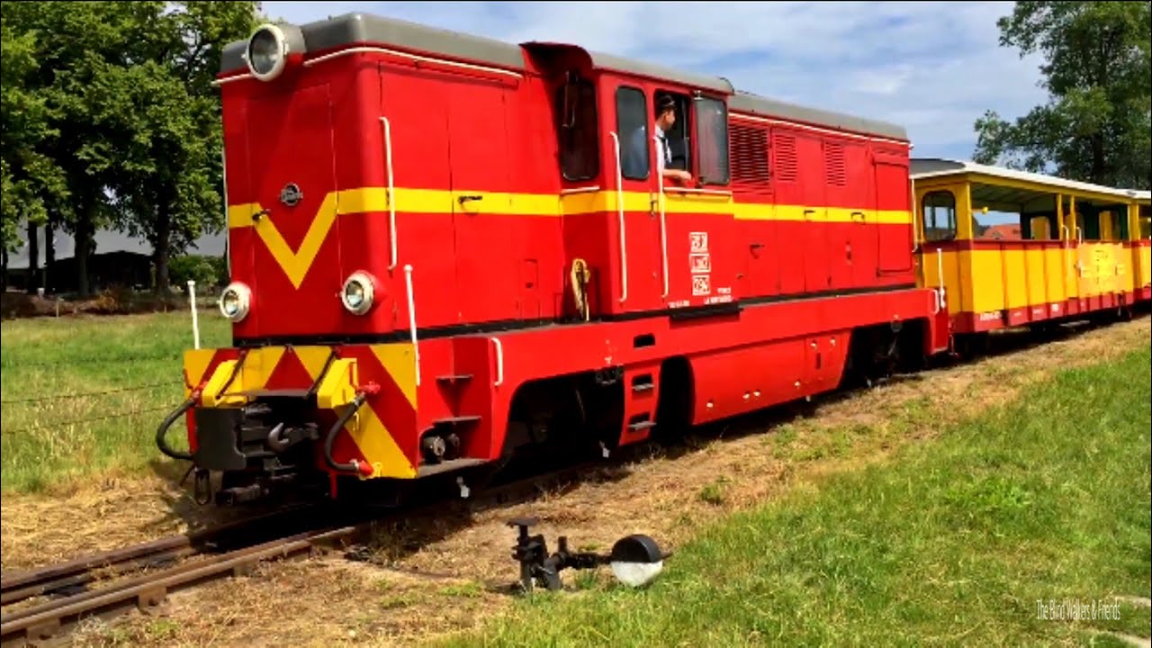 Żuławska Kolej Dojazdowa Mierzeja Wiślana Sztutowo Stegna prawy brzeg Wisły narrow-gauge railway