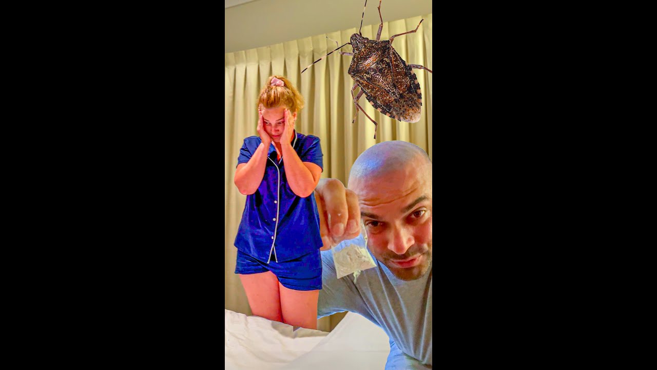 Bad Case of Bed Bugs