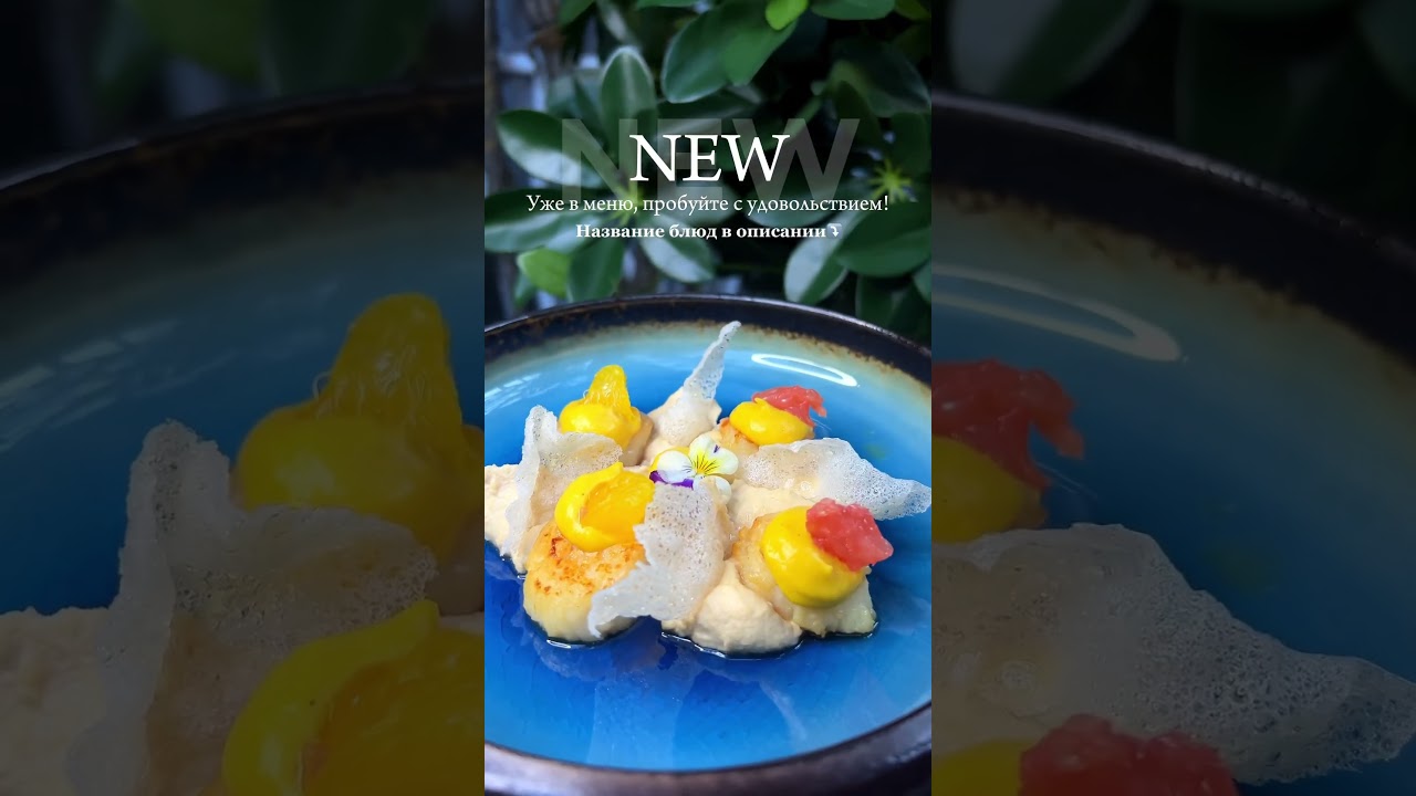 🍽️Морские гребешки с миндальным пюре, манго и цитрусовым конкассе 🍽️Сибас сицилийский #минск