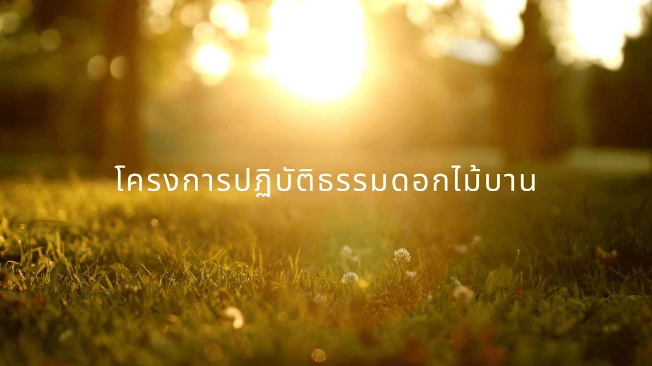 โครงการปฏิบัติธรรมพิเศษ (ดอกไม้บาน) @ พนาวัฒน์ ๕๓๐