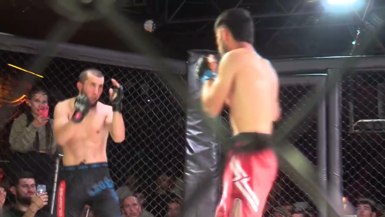 Top Fight Global 4