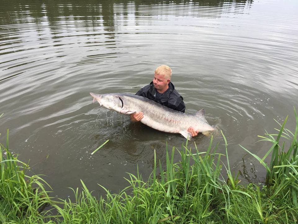 Team Kärnten Carp Wundschuh Hausen See