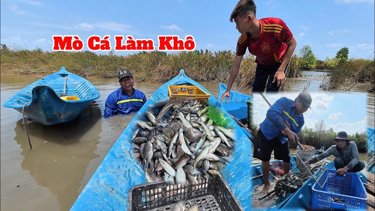 Bữa Nay Vuông Nhà Thuố.c Cá Toàn Những Loại Cá Ngon