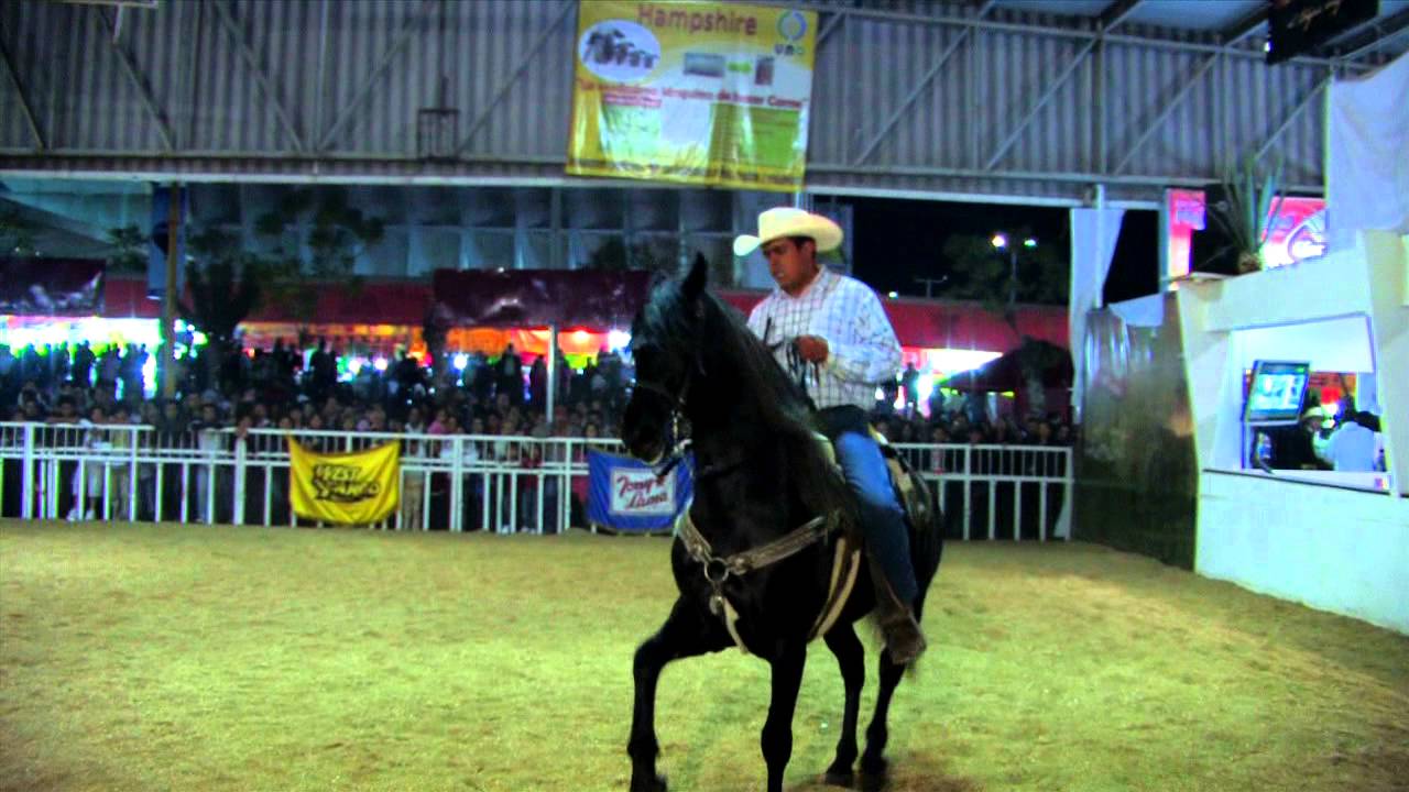 FERIA LEON
