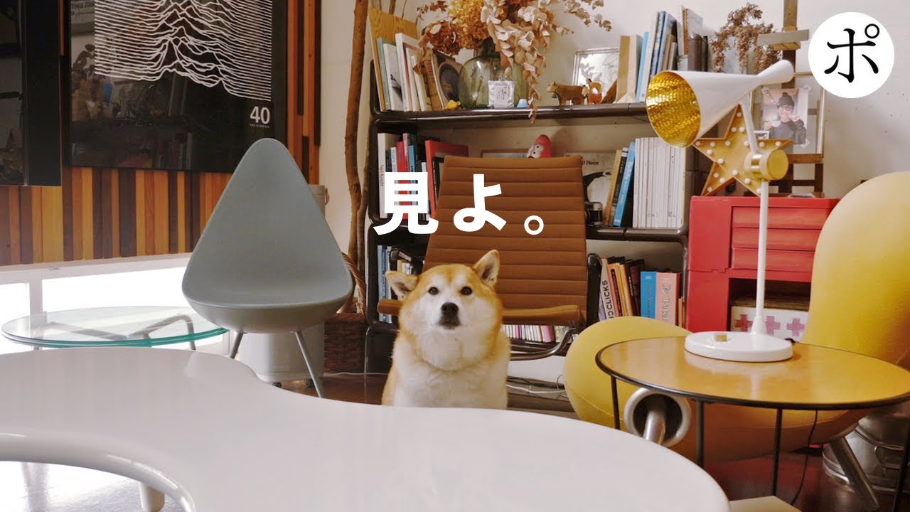 【ルームツアー】我が家の愛すべき家具たちをご覧ください【Vintage】