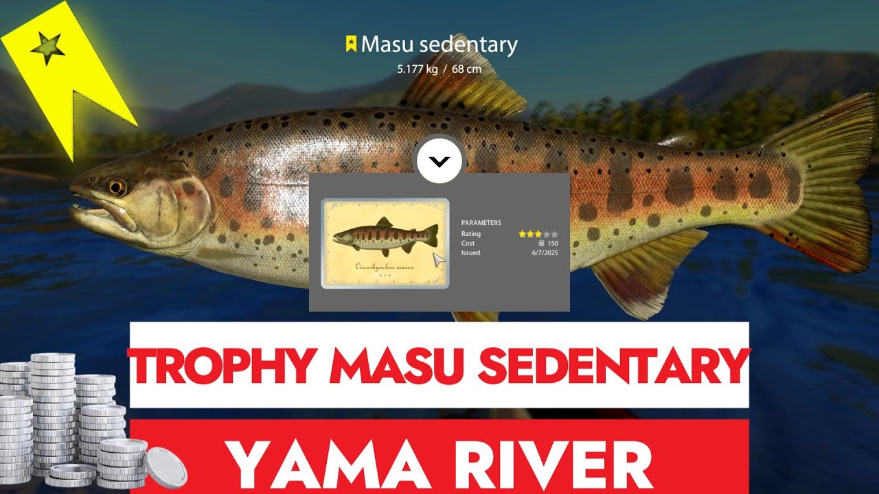 RUSSIAN FISHING 4 - RF4 - TROPHY MASU SEDENTARY - YAMA RIVER