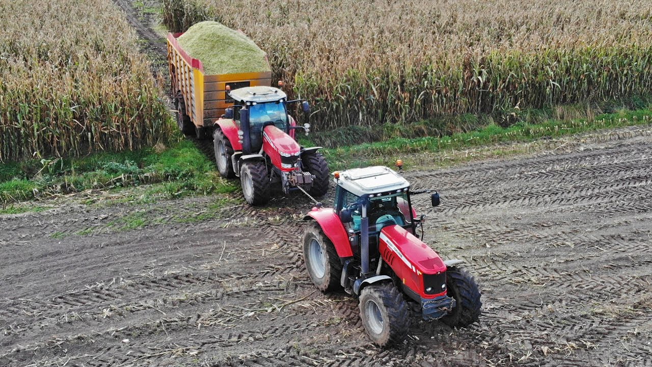 Mais Silage In The Mud | Massey Ferguson + John Deere | Modderen | Vlastuin & Ploeg