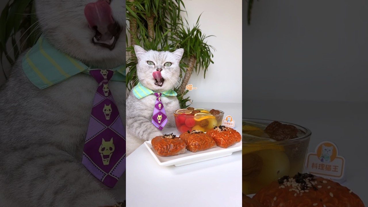 🤤Sour And Sweet Plum Tomatoes🍅 & Spicy Turkey Noodles🍜 #catsofyoutube #foodlover #tiktok