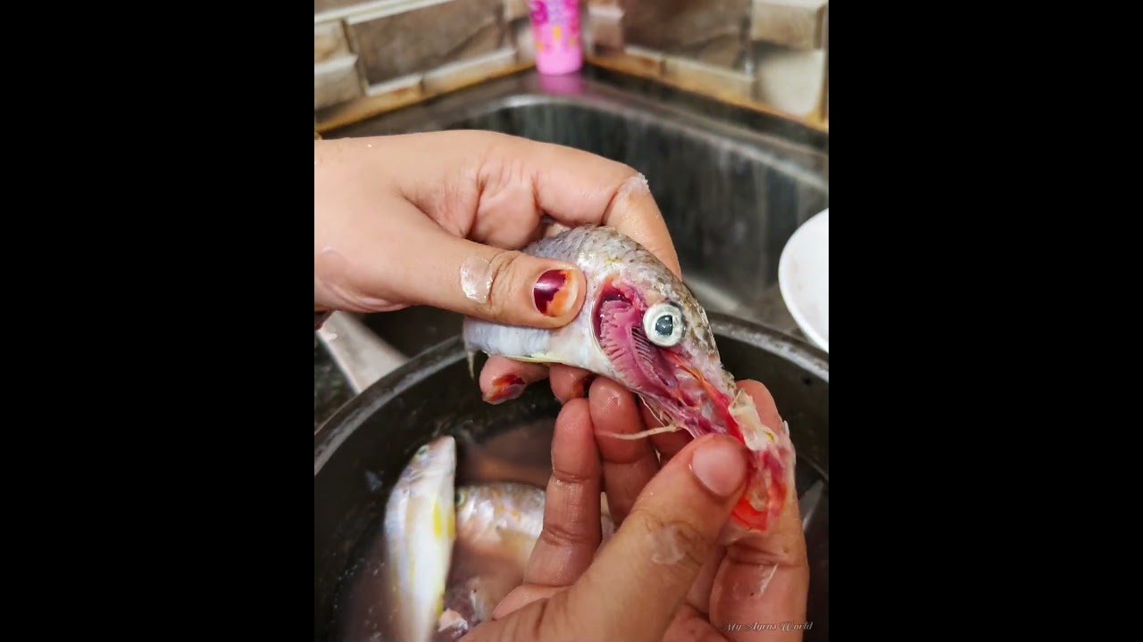 Nagara fish Cleaning minivlog #minivlog  #myayrasworld #seafood #fishcleaning #minivlogtamil #fish