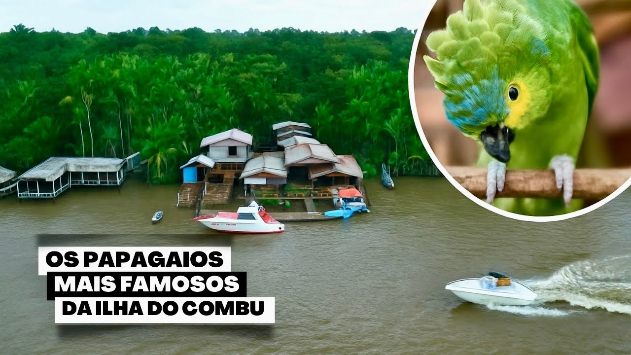 Explorando o Restaurante Flor do Combú na ilha do Combú 🌺