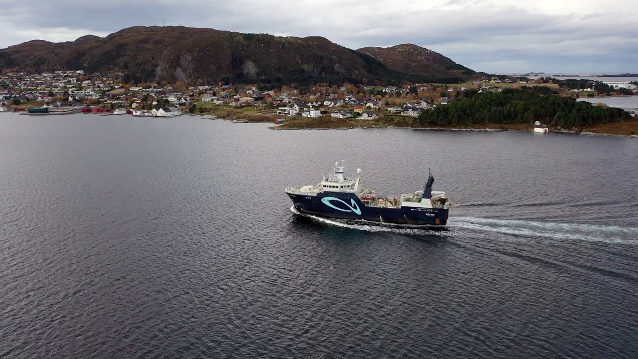 Nordic Wildfish AS - FV Molnes