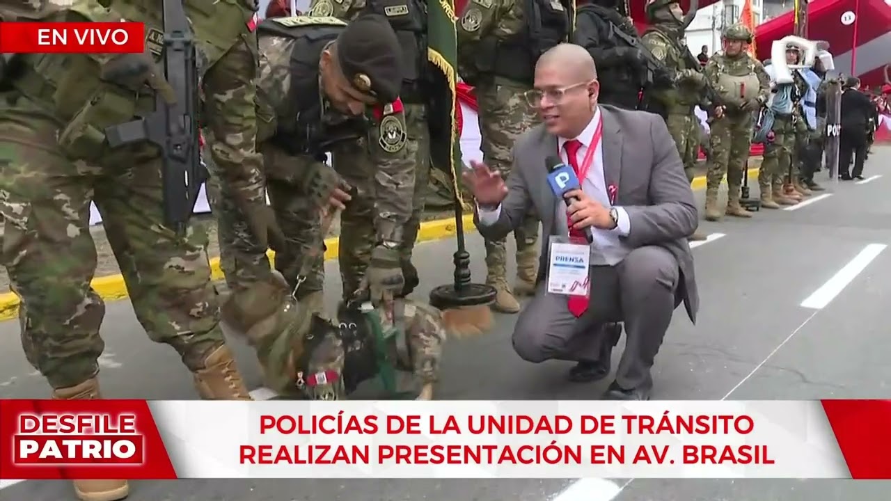 'Chato', perrito experto en salto en paracaídas de la Dinoes, regresa a Desfile Patrio