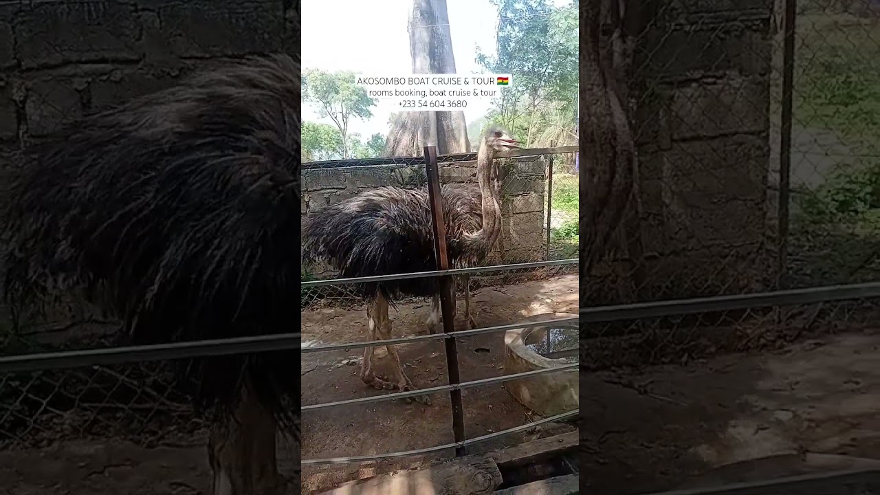 #ghanatourism