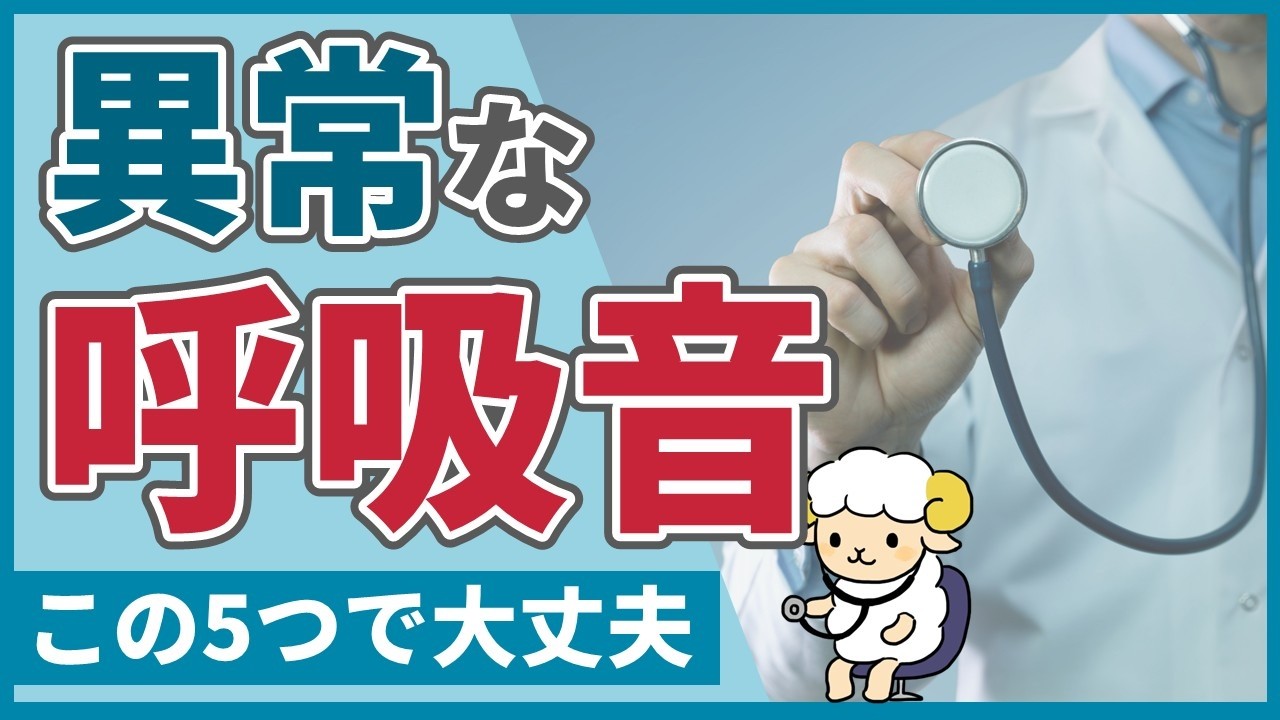 【この5つで十分】異常な呼吸音を呼吸器ドクターが解説