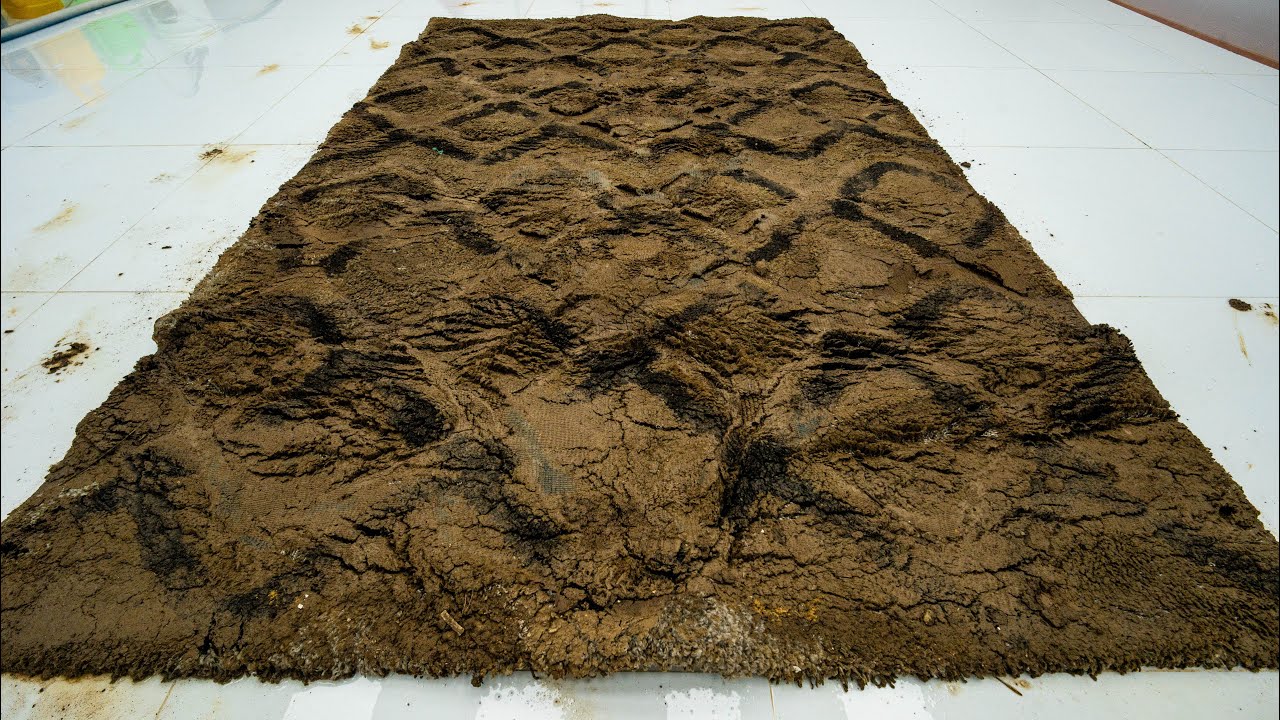 This Rug Was Completely Buried in Mud… Can It Be Saved? | ASMR Carpet Cleaning