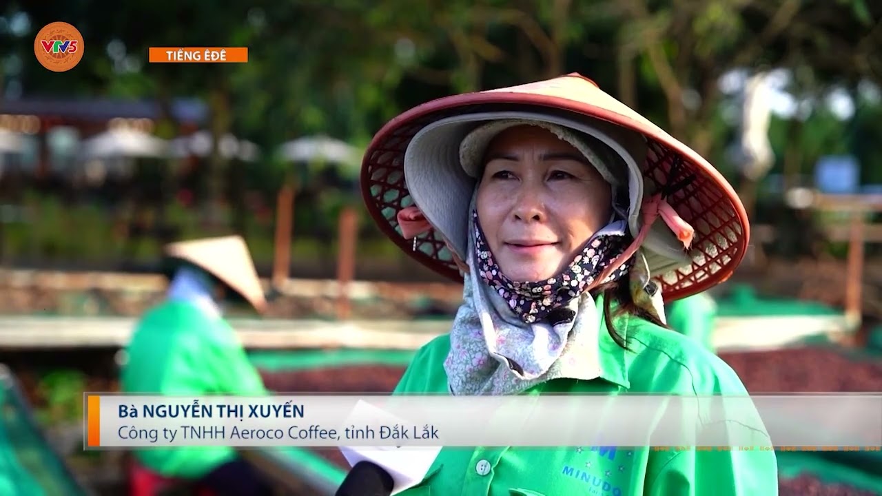[TIẾNG Ê ĐÊ] NÔNG NGHIỆP SINH THÁI MỞ HƯỚNG SINH KẾ MỚI | VTV5
