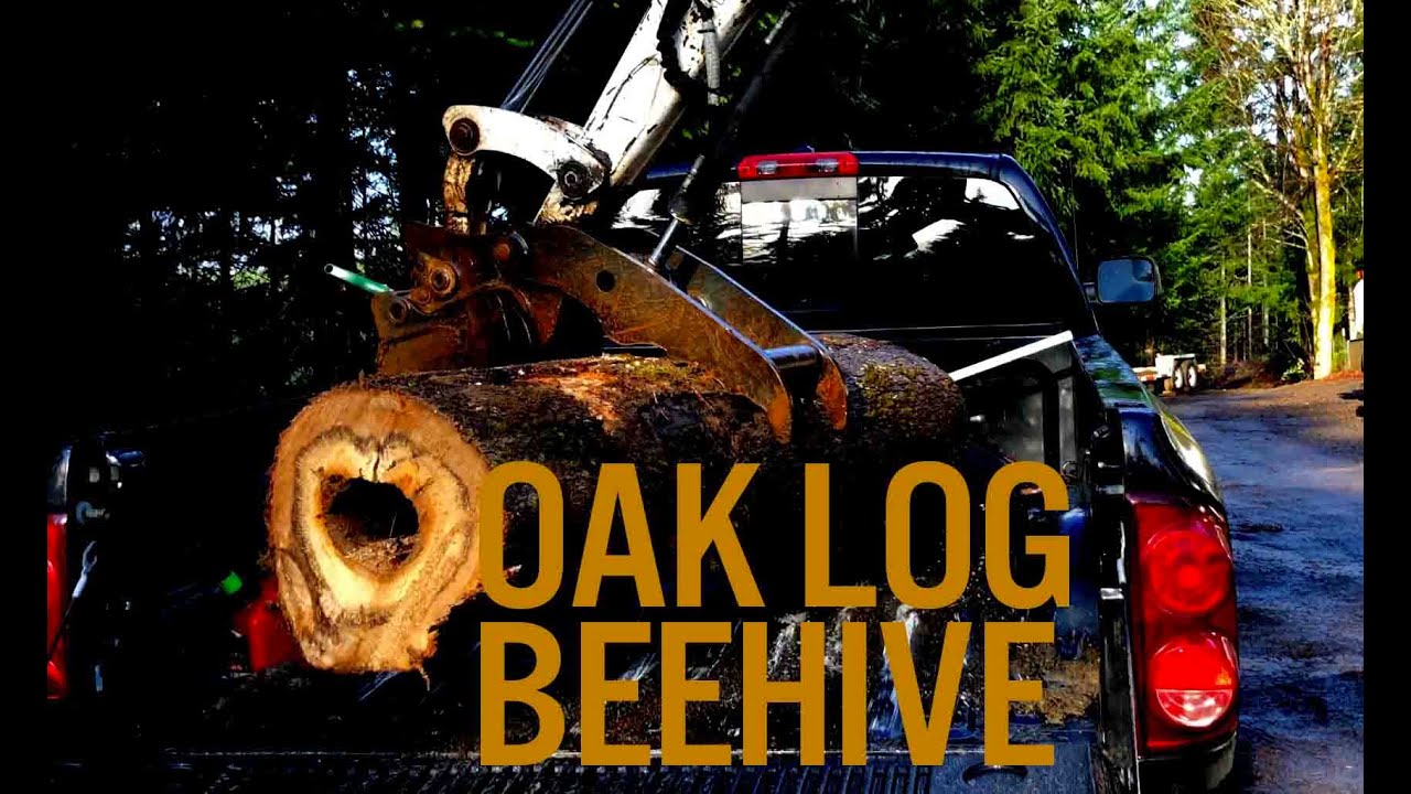 Making OAK log Beehives the easy way