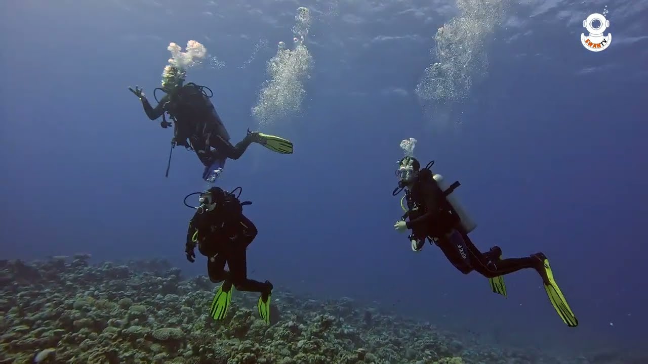 Egipt Nurkowanie Hurghada 2024 .04.13