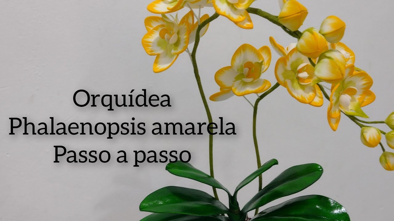 orquídea phalaenopsis amarela /modelada a mão